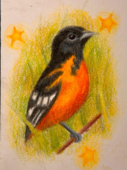 Oriole